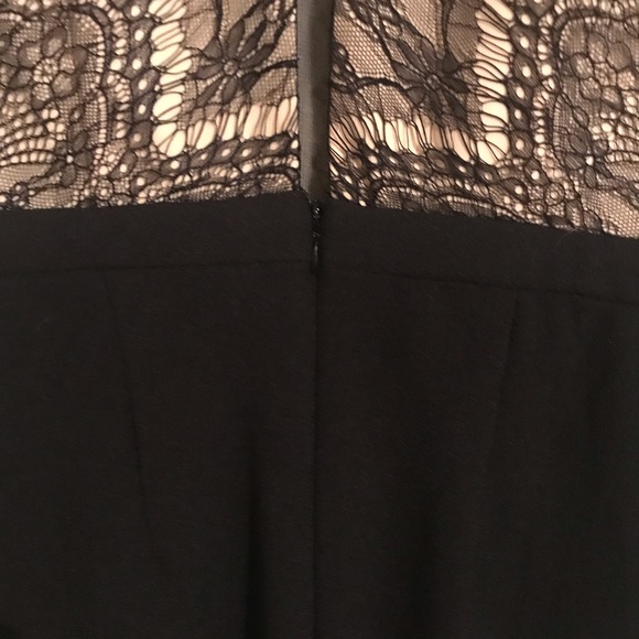 Lace Color Block Bodycon Dress - Picture 5 of 6